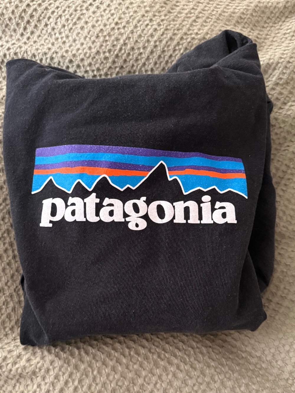 Patagonia Black Logo Hoodie Men’s Large Classic Fit
